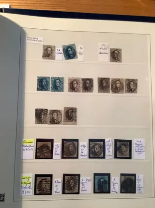 België 1849 - Epauletten en medaillons - OBP : klassiek lot alle kwaliteiten