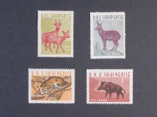 Albanië - Blocks, blocks of four&nbsp;– rare, better issues