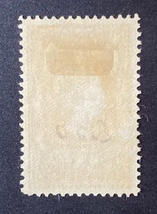 Nederland 1920 - Opruimingsuitgifte met variëteit - NVPH 105