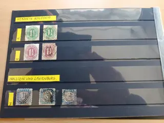 Groothertogdom Mecklenburg-Schwerin - Collection with Schleswig-Holstein