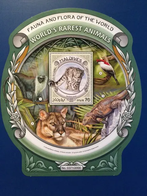 Wereld - Fauna