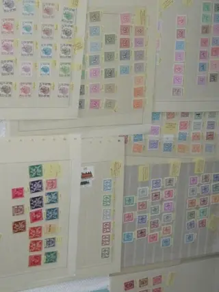 België 1946/2000 - Kavel met allemaal postfrisse zegels uit België met 2 postzegelcatalogussen uit België tot 2019