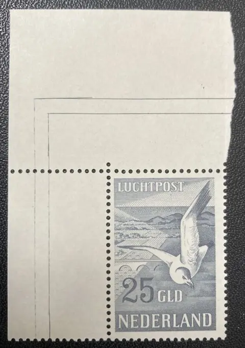 Nederland 1951 - Luchtpost Zeemeeuwen - NVPH LP12/LP13
