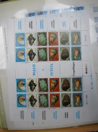 Franse kolonie - DOM - TOM , stamp collection