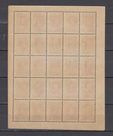 Sovjet-Unie 1923/1923 - USSR. Block with error cliché 70r in a plate 100r - Zagorsky № 93.1