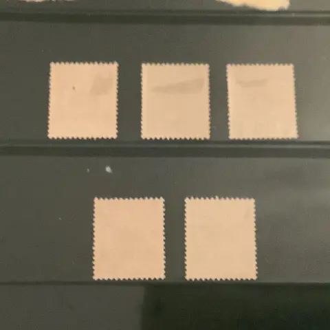 Duits Oost-Afrika - Eerste emissie - Michel 1/5