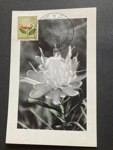 Belgisch-Congo en Ruanda-Urundi 1952/1958 - 'Bloemen' : 2 herdenkingskaarten en 7 maximumkaarten met gestempelde zegels 'Expo 1958' - OBP/COB 302/23