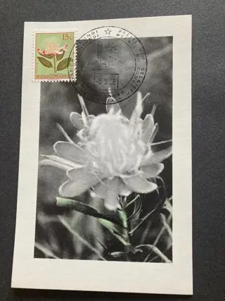 Belgisch-Congo en Ruanda-Urundi 1952/1958 - 'Bloemen' : 2 herdenkingskaarten en 7 maximumkaarten met gestempelde zegels 'Expo 1958' - OBP/COB 302/23