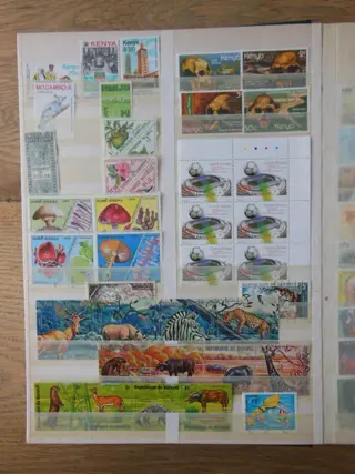 Afrika 1905/2004 - Gevarieerde colletie in 2x stokboek. - Diverse