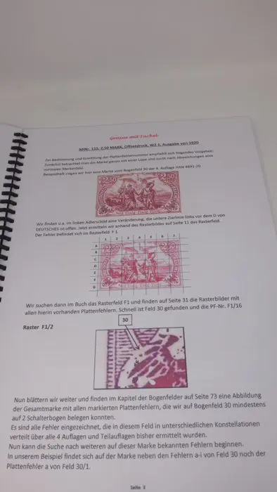 Duitse Rijk - German Reich Michel no. 115, new handbook plate error “Germania” 1st issue, INFLA