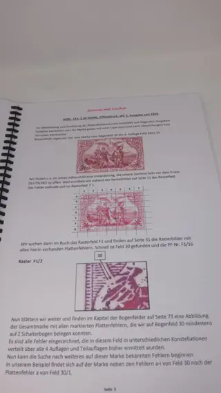 Duitse Rijk - German Reich Michel no. 115, new handbook plate error “Germania” 1st issue, INFLA