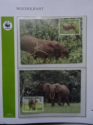 Wereld - thema: WWF - Collectie allerhande officiële maximumkaarten, alle emissies met Wereld Natuur Fonds logo.