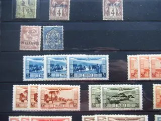 Franse kolonie - Advanced collection of stamps.