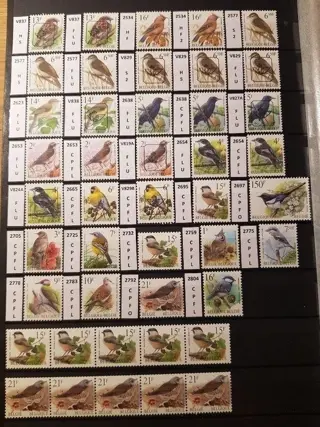 België 1985 - unieke verzameling vogels van Buzin, papiersoorten - S.P.A.B.
