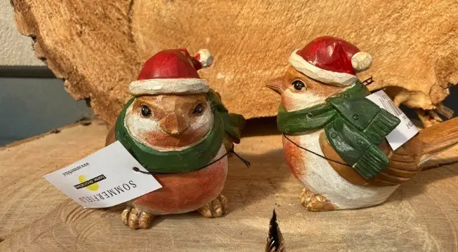 VOGEL KERSTMUTS EN SJAAL NIEUW