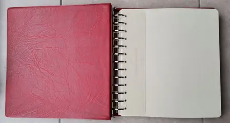 Frankrijk 1960/1979 - Leuchtturm album from 1960 to 1979. Over 600 mint** stamps In perfect condition. No defects. - Leuchtturm
