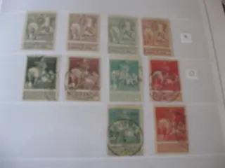 België 1884/1970 - 2 Dikke boeken van België, vol met zegels van 1884 t/m 1970