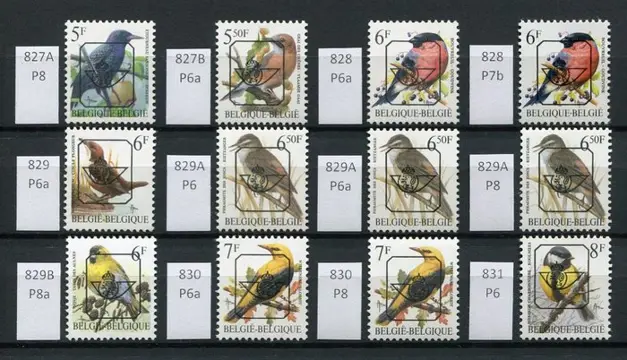 België 1986/1996 - Gespecialiseerde Verzameling Voorafstempelingen op BUZIN met de papiersoorten - OBP Serie 66