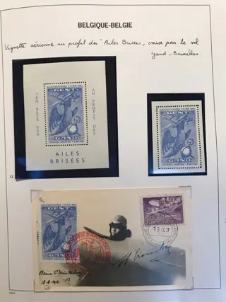België 1949/1983 - Erinnofilie : Gigantische verzameling in DAVO album met vele extra’s - Variëteiten, Curiositeiten - Gehandtekende stukken,… - E53/E135