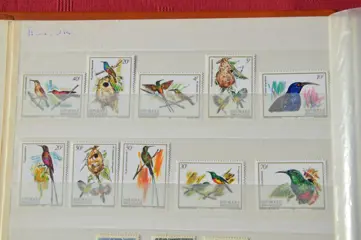 Wereld - Thematic collection: Birds of the World -- Birds -- Vogels