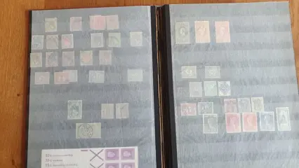 Nederland 1899 - Partij in album en 2 stockboeken + vel portzegels