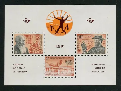 België 1960/1969 - 10 volledige jaargangen met blokken en zegels uit blokken (geen boekjes) - OBP / COB 1121/1522 + BL32/46