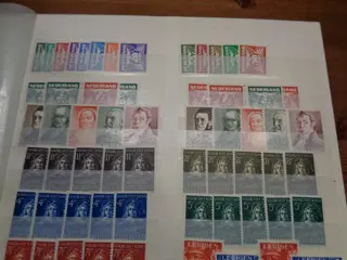 Nederland 1941/2001 - Partij in insteekboek