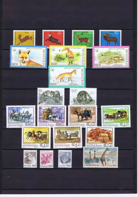 Wereld - Animal collection from World