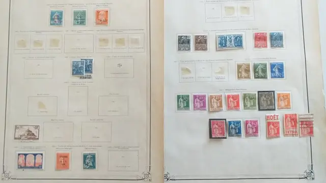 Frankrijk 1900/1940 - Collection on pages of albums, mint* and cancelled + tax, pre-cancelled, etc
