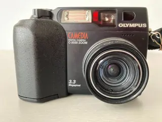 Canon, Olympus, Panasonic, Samsung, Sony Alpha