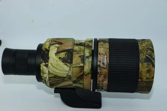 Kenko 400mm F8.0 lens + MT22mm