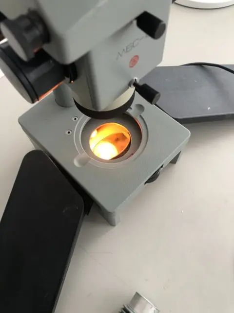 M5C-10 stereo microscoop