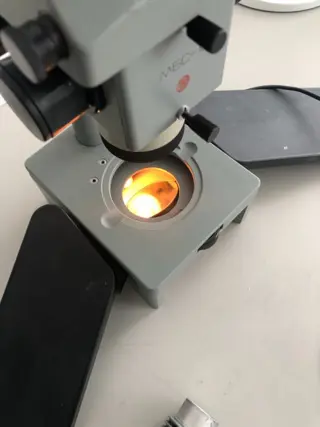 M5C-10 stereo microscoop