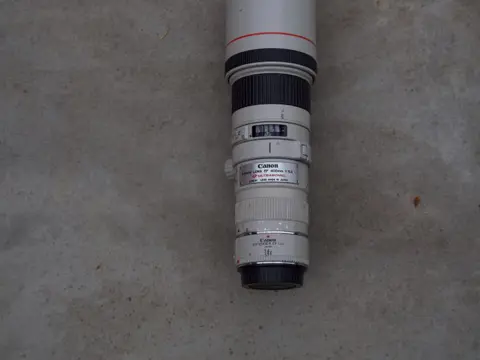 Canon EF 400mm 1:5.6 L + 1,4x extender