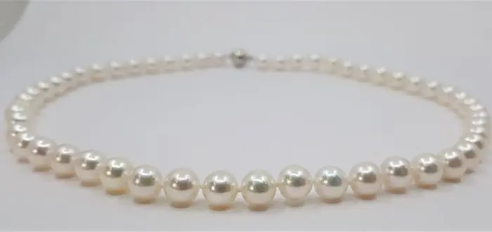 7.5x8mm Bright - 925 Akoya parels, Zilver - Halsketting