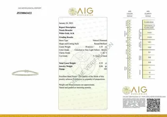 No reserve price - 4.35 tcw - 14 karaat Witgoud - Armband Diamant