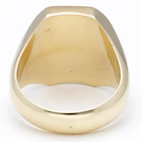 14 karaat Goud - Ring Onyx