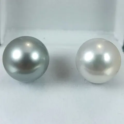 Black & White Huge Southsea pearl Ø 12,5x13 mm - 18 karaat Tahitiaanse parels, Witgoud - Oorbellen Zuidzee parel