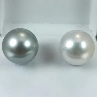 Black & White Huge Southsea pearl Ø 12,5x13 mm - 18 karaat Tahitiaanse parels, Witgoud - Oorbellen Zuidzee parel
