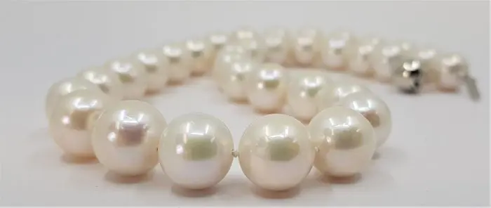 12x14mm White Edison - 925 Zilver, Zoetwater parels - Halsketting
