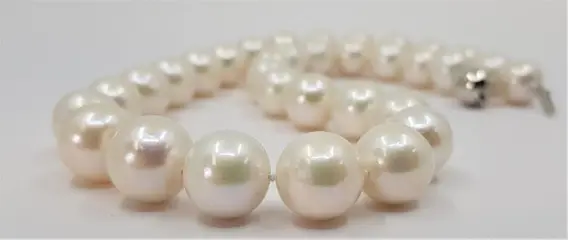 12x14mm White Edison - 925 Zilver, Zoetwater parels - Halsketting
