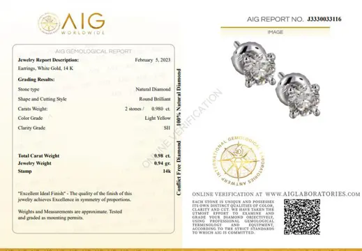 0.98 CtRound Diamond Earrings - 14 karaat Witgoud - Oorbellen Diamant - Geen reserve