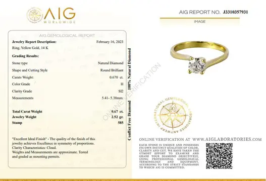 0.67 Ct Round Diamond Ring - 14 karaat Geel goud - Ring Diamant - Geen reserve