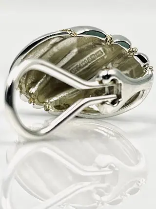 Tiffany & Co. - NO RESERVE PRICE - Clips - 925 Zilver - Oorbellen