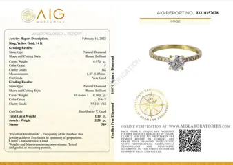 1.13 ct. t.w. Round Diamond Ring - 14 karaat Geel goud - Ring Diamant - Geen reserve
