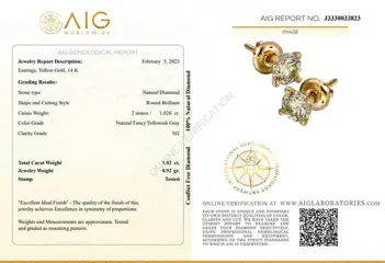 1.02 CtFancy Yellowish Gray Round Diamond Earrings - 14 karaat Geel goud - Oorbellen Diamant - Geen reserve