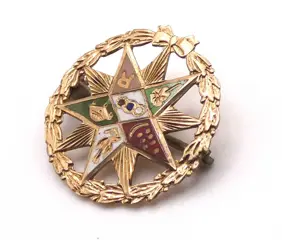 14 karaat Goud - Broche