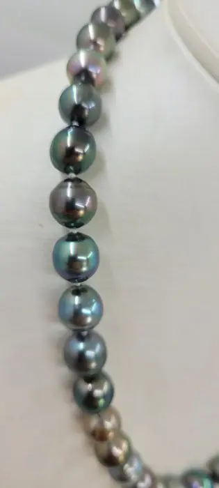 8.2x11.5mm Multi Tahitian Pearls - 925 Zilver - Halsketting