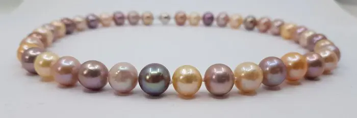 no reserve - 9.5x11.5mm Round Shimmering Multi Edison Freshwater Pearls - 925 Zilver - Halsketting