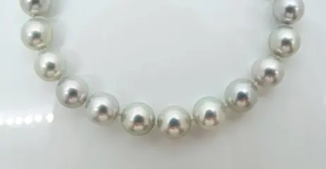 No Reserve Price - Akoya Pearls, Natural Blue, Round, 8 -8.5 mm - 18 karaat Witgoud - Armband